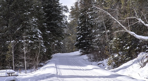 piste de ski menant à la forêt